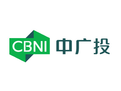 中广投资案例