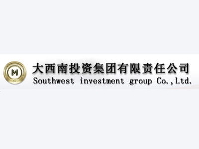 大西南投资集团